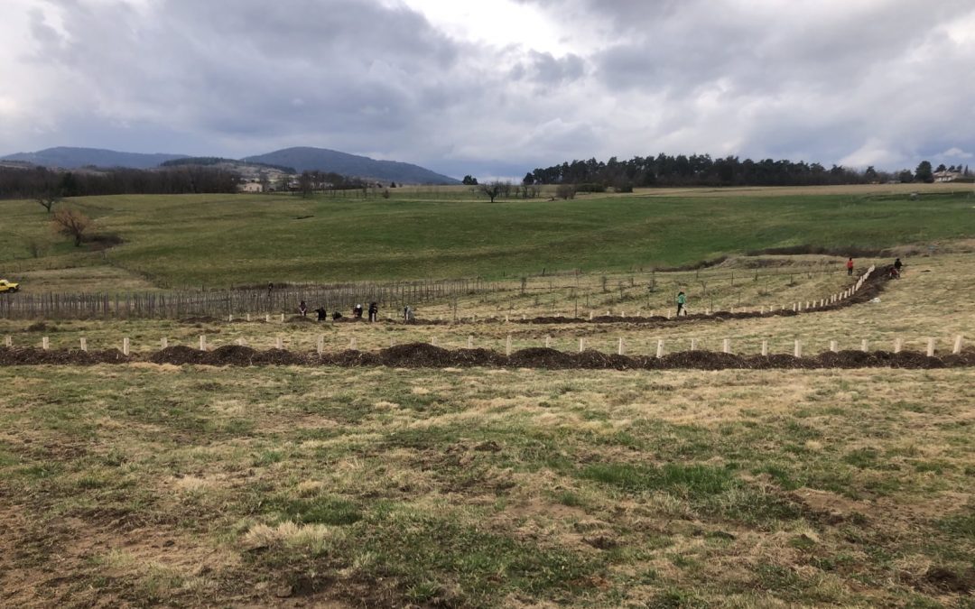 Domaine de l’Alezan, ferme vigneronne à Étables (07)