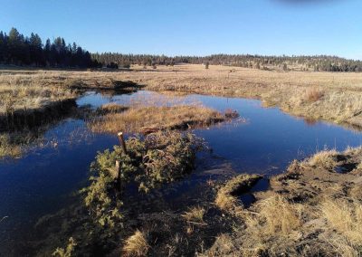 Meryl Creek – Oregon (U.S.A.)